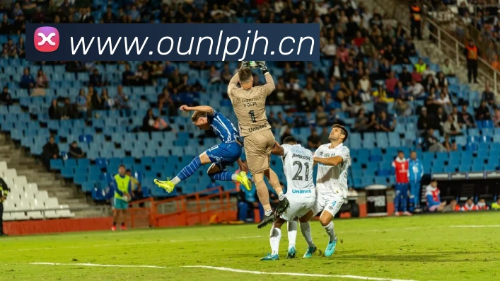 多媒体互动体验